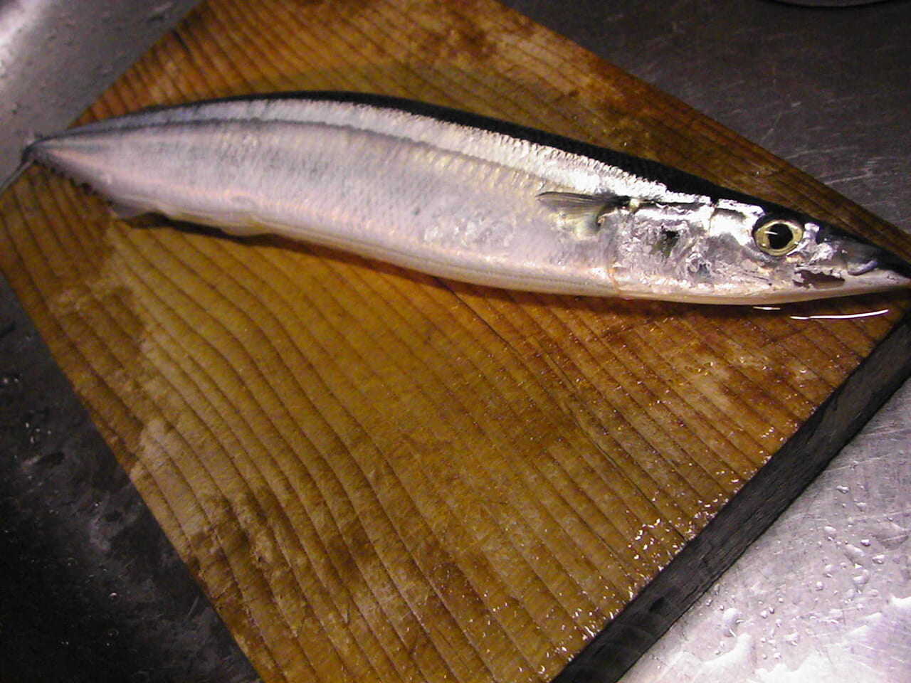 秋の夜長にイカがですよ