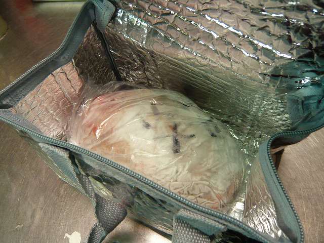 鹿のお肉ゲット～♪の巻き