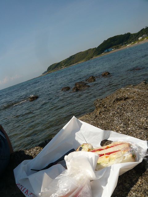 2010/08/31火曜★散歩の巻き