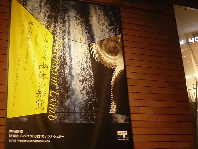 2010/11/30 火曜散歩