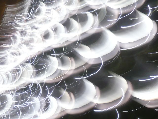 2010/11/30 火曜散歩