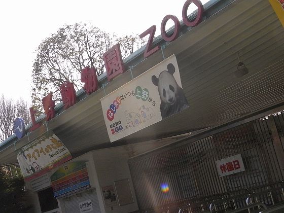 2011/03/29火曜★散歩