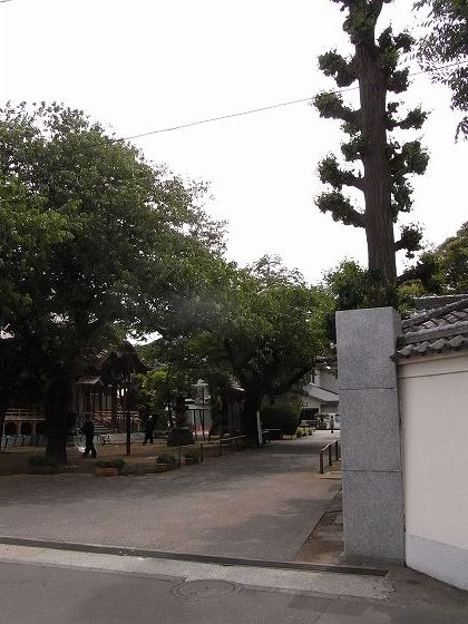 2011 05/31 火曜★散歩