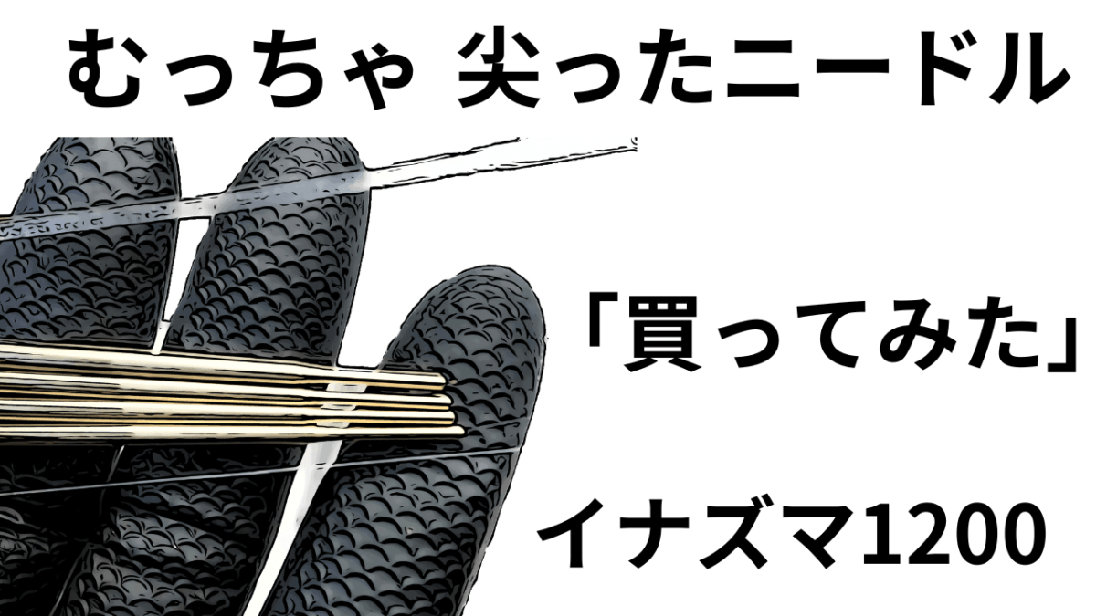 第43話【イナズマ1200】むっちゃ尖ったニードル買ってみた。