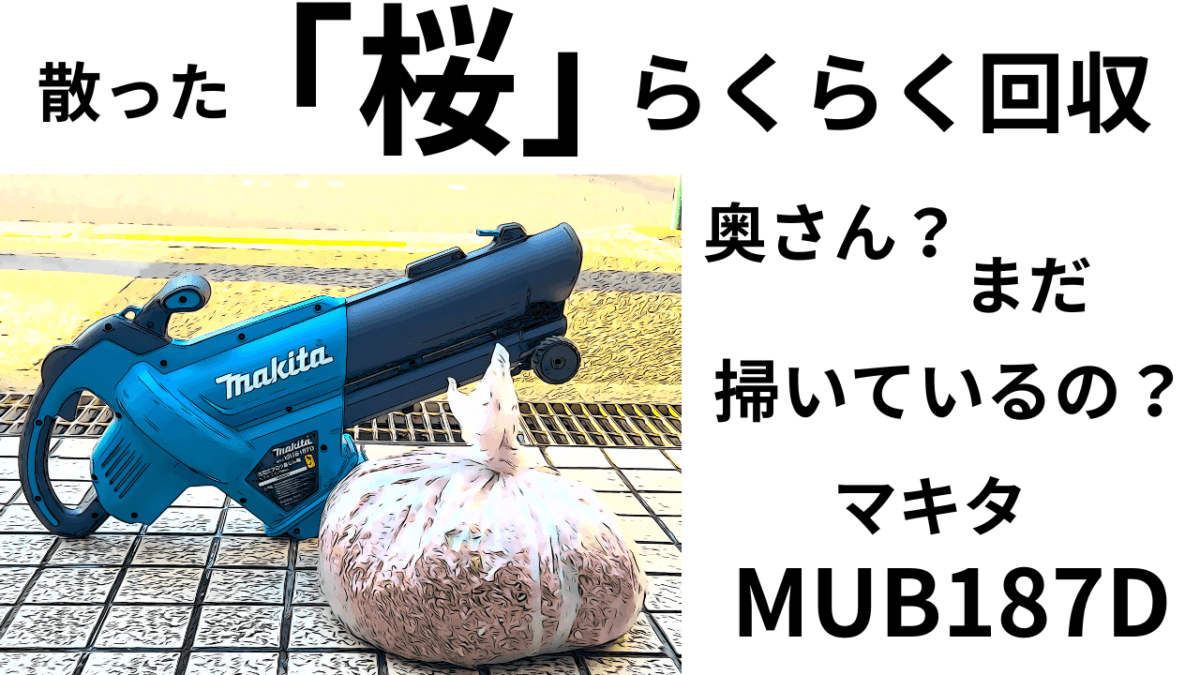 まだ掃いてますのぉ。散った「桜」らくらく回収。早く知りたかったわぁ～マキタMUB187D
