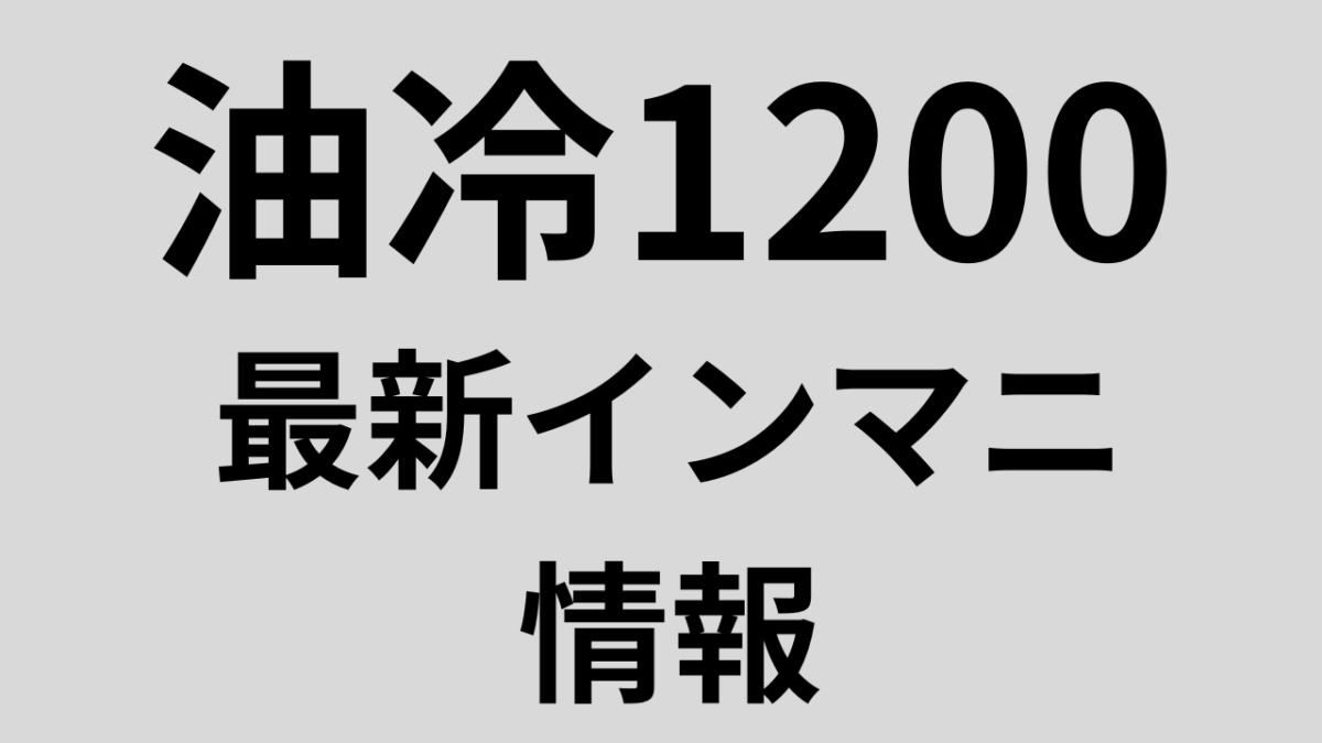 【2023年最新】「1200は安泰」油冷GSF750&1200/イナズマ1200／バンディット1200/GS1200SSインテークマニホールド情報