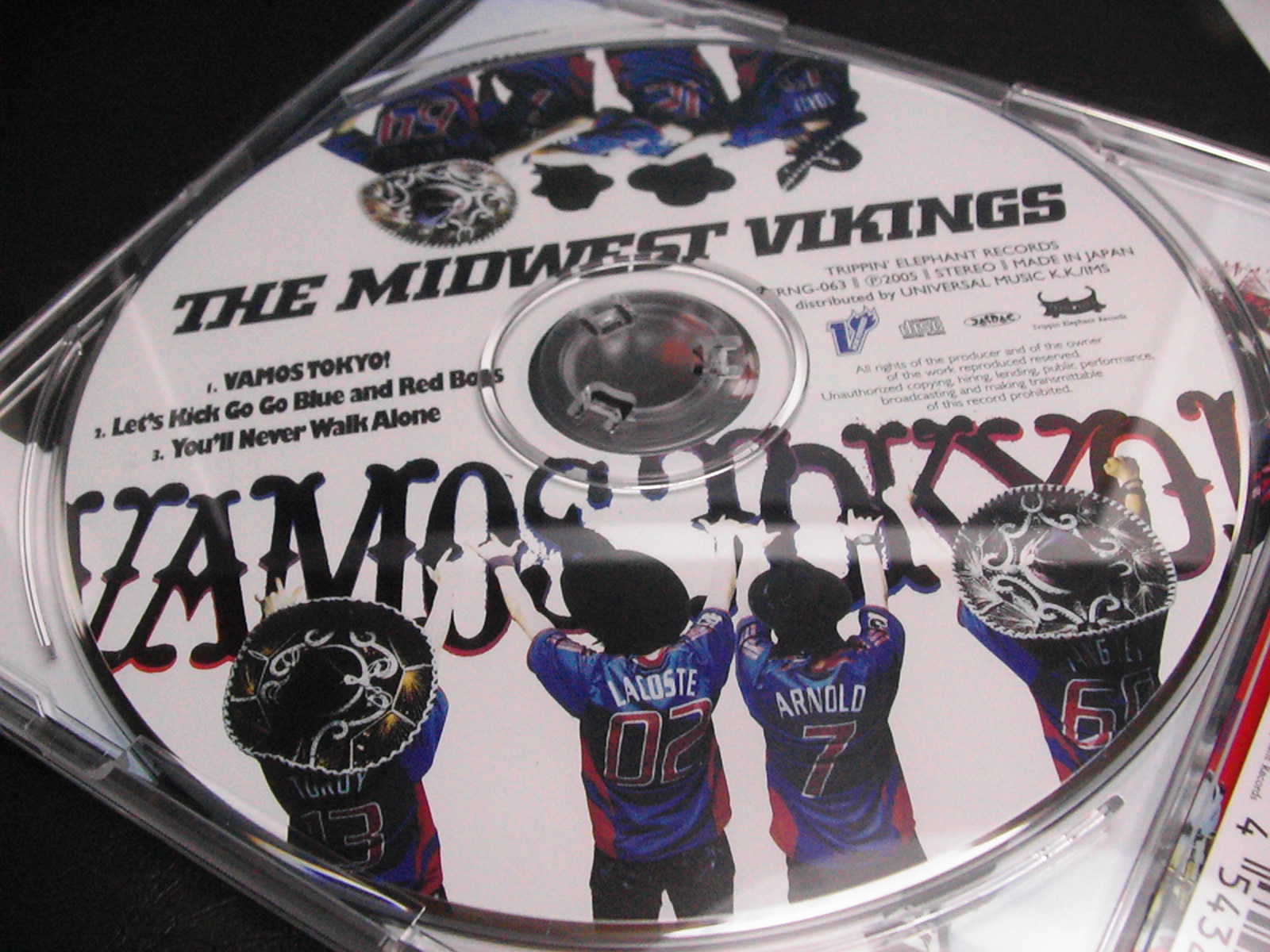 THE MIDWEST VIKINGS